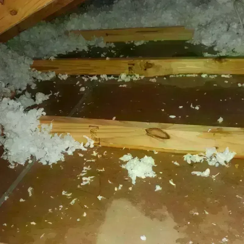 Attic Water Damage in Luxora, AR