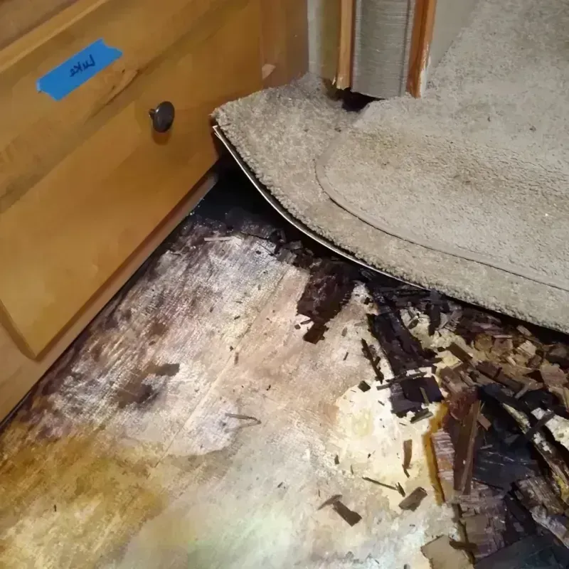 Wood Floor Water Damage in Luxora, AR